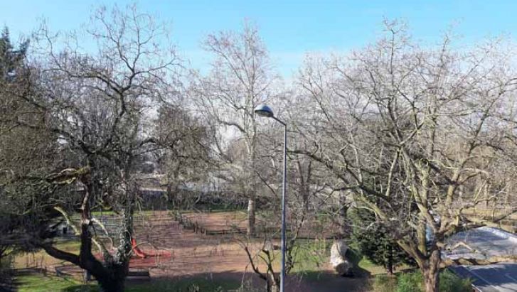 PROCHE CHAMPS DE MARS