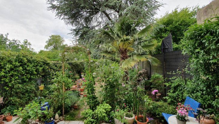 MAISON A RENOVER AVEC MAGNIFIQUE JARDIN