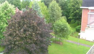 Vente appartement f1 à Lambersart - Ref.V2494 - Image 1