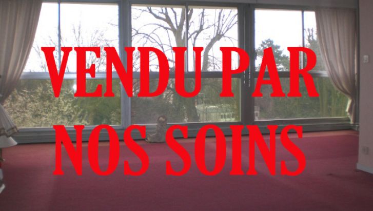 VUE SUR PARC