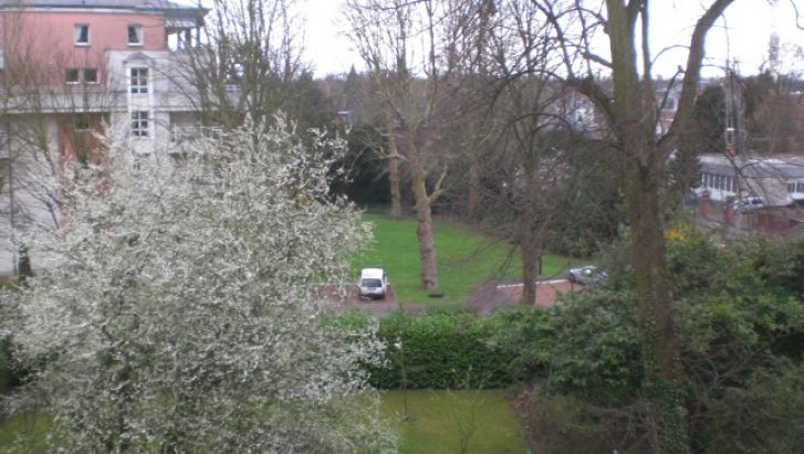 VUE SUR PARC