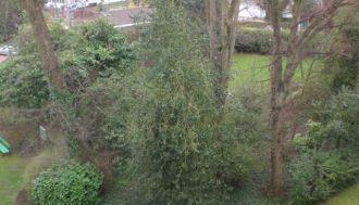 Vente appartement f1 à Lambersart - Ref.V3631 - Image 1