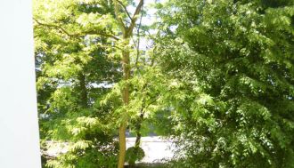 Vente appartement f1 à Lambersart - Ref.V5057 - Image 1