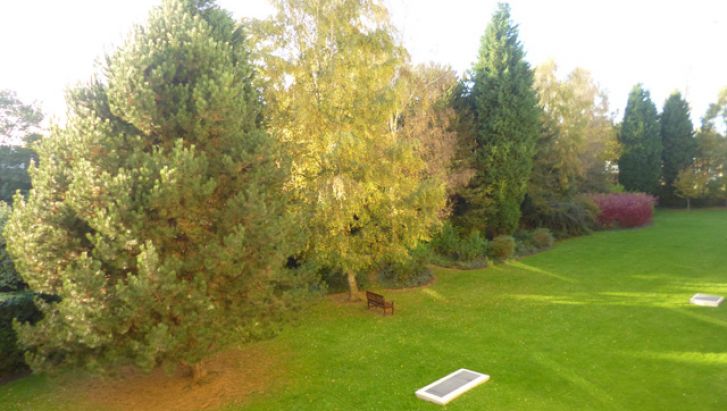 T4 BOIS DE BOULOGNE